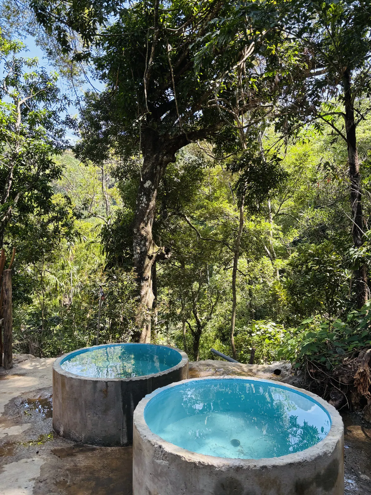 Two round plunge tubs of spring water on the rock above the forest