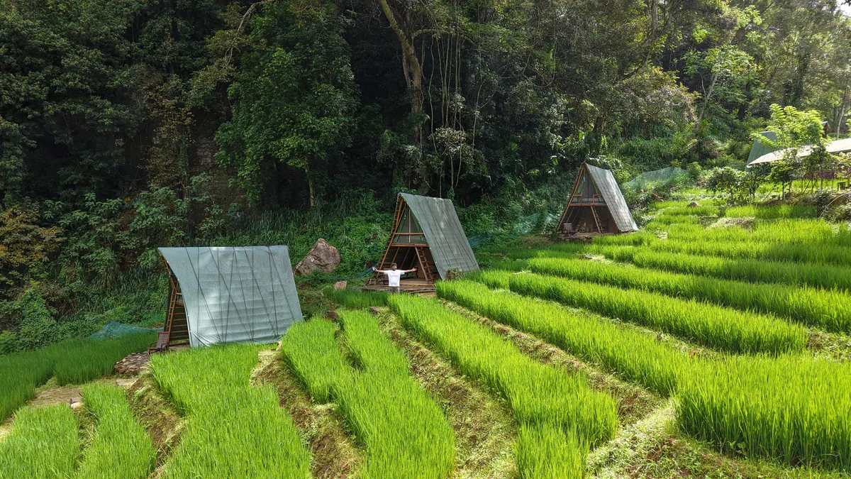 Paddy terraces from the air, three A-frame cabins along the top terrace
