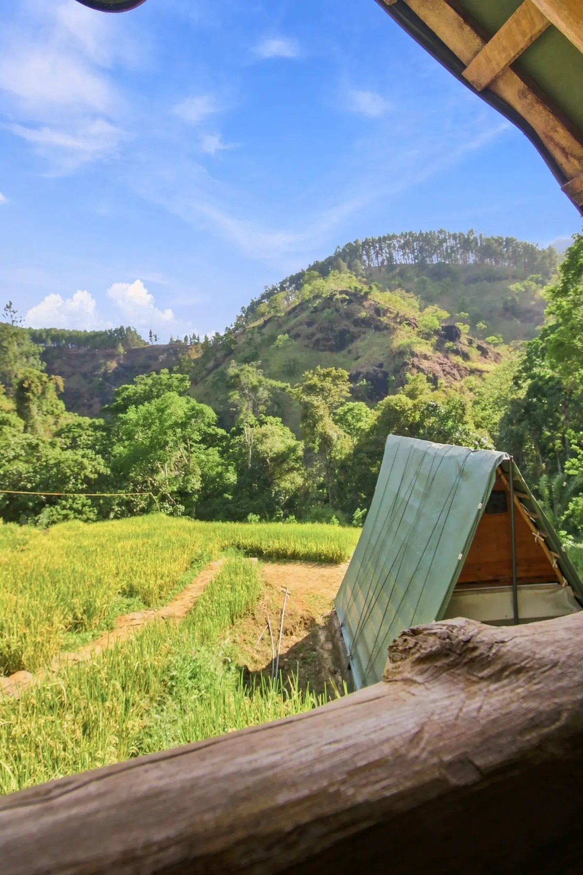 A cabin roof above the paddy terraces, the valley opening out behind