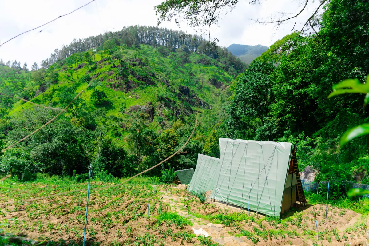 An A-frame cabin at the edge of a field below steep green hills