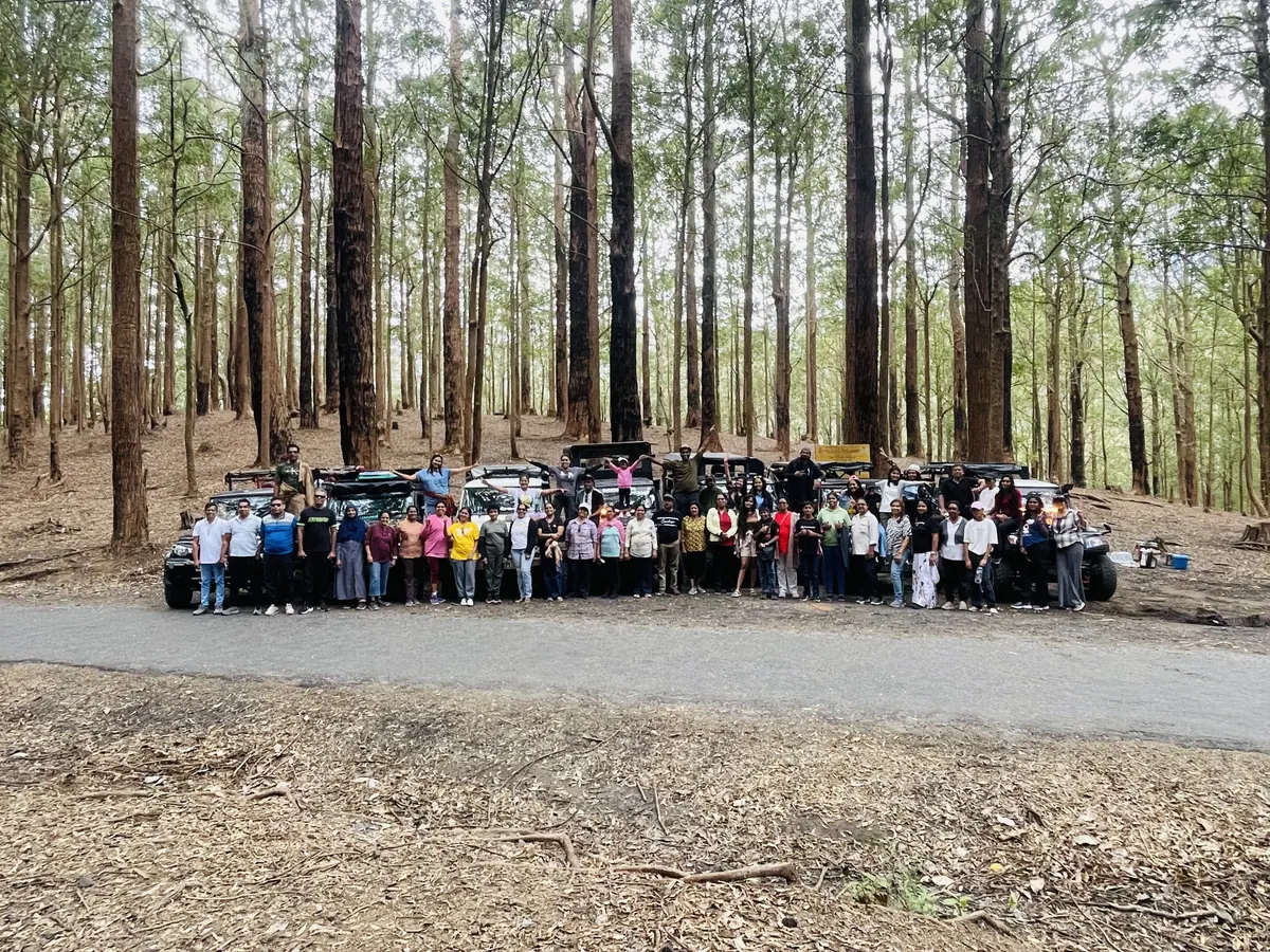 A line of safari jeeps parked under tall pines, a large group of guests standing in front