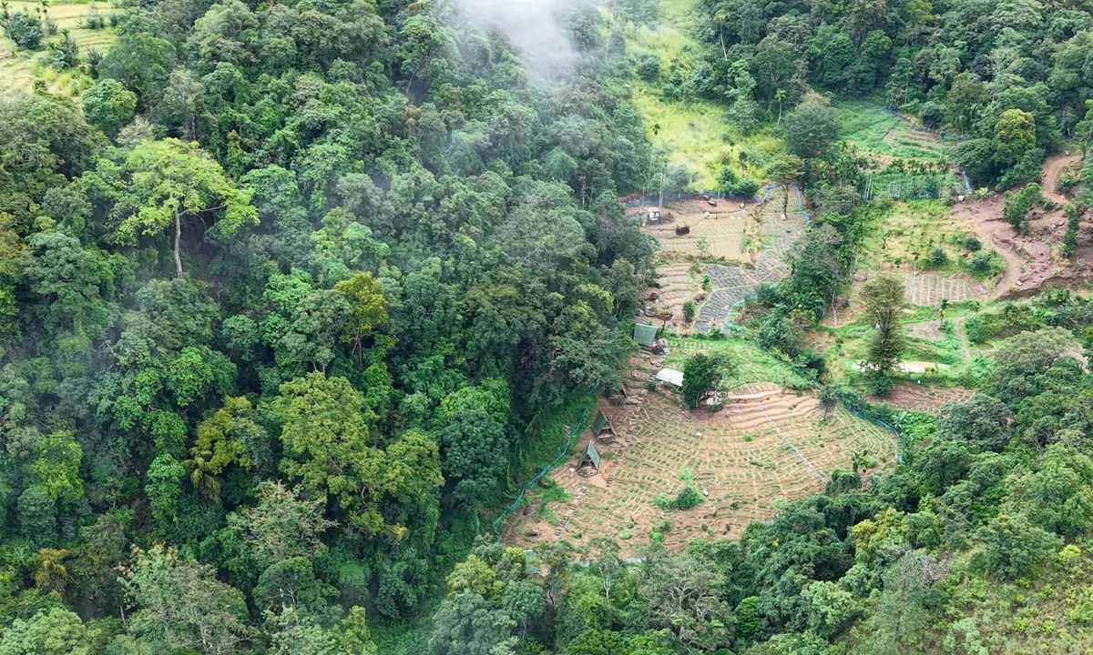 Low cloud drifting over forest and terraced plots on the hillside