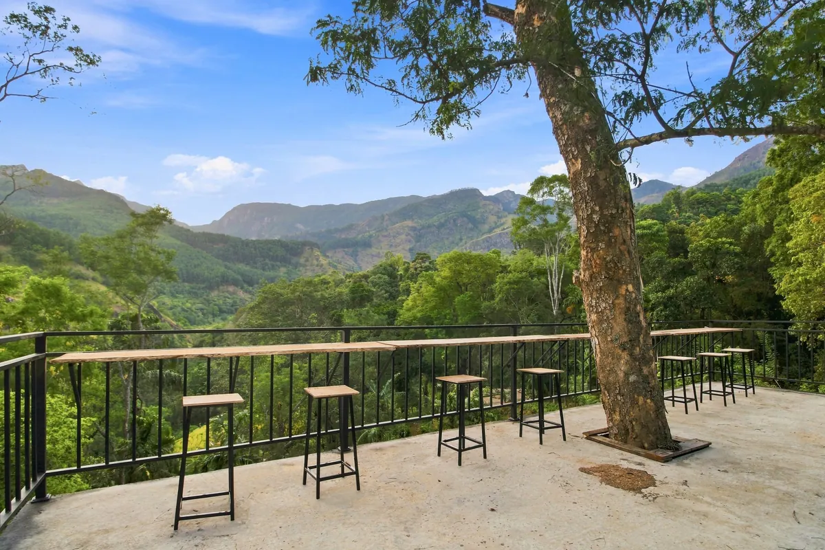 A wide view across the forested valley to the ridges, from under a tall tree on the deck
